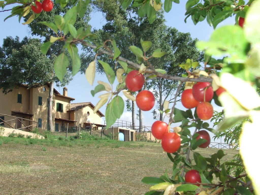 Il Casale Di Lantgård